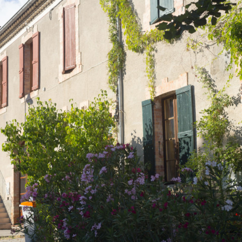 Comment fonctionne la vente en viager ?