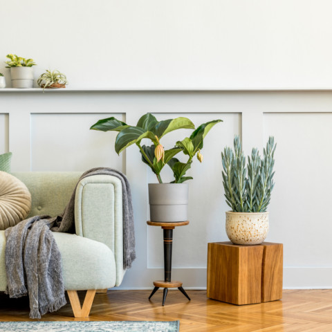 Quelles sont les 8 étapes pour vendre un bien immobilier ?