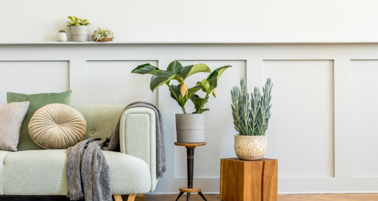 Quelles sont les 8 étapes pour vendre un bien immobilier ?